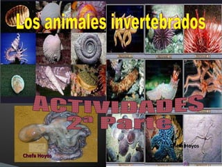 Los animales invertebrados ACTIVIDADES 2ª Parte Chefa Hoyos Chefa Hoyos 