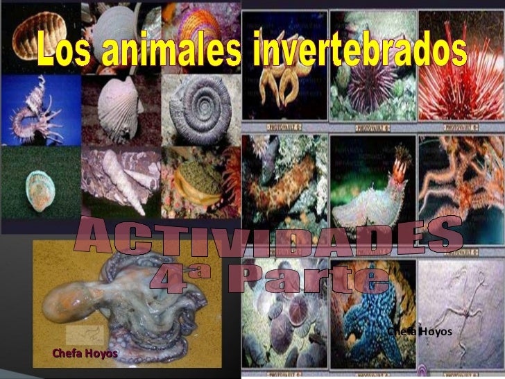 http://es.slideshare.net/JosefaHoyos/actividades-invertebrados-4-parte