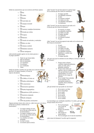 Señala las características que son exclusivas del Homo sapiens:
1. Pelo
2. Cerebro
3. Dientes
4. Creatividad, arte
5. Lenguaje avanzado
6. Orejas
7. Construye complejas herramientas
8. Formado por células
9. Vivíparos
10. Pulmones
11. Corazón con aurículas y ventrículos
12. Dedos con uñas
13. Columna vertebral
14. Glándulas mamarias
15. Gran inteligencia
¿Qué animales pueden agarrar con las manos gracias a
su pulgar oponible?
1. Todos los que tienen dedos
2. Sólo los humanos
3. Sólo los homínidos
4. Los mamíferos
5. Los primates
6. Los vertebrados
7. Todos
Señala las pruebas científicas de que hubo una evolución biológica
que llevó a la especie humana y al resto de
especies del planeta:
1. Paleontológicas
2. La Biblia, el Corán, etc.
3. Pruebas embriológicas
4. El creacionismo
5. Generación espontánea
6. Pruebas biogeográficas
7. Bioquímicas (ADN, proteínas...)
8. Anatomía comparada
9. Diseño inteligente
10. No hay pruebas concluyentes
Algunos primates tienen cola y otros no. ¿Qué crees que es el cóccix,
al final de la columna vertebral de los
hominoideos?
1. Un órgano análogo (el resto
de la cola que existía antes de
los hominoideos)
2. Un órgano vestigial (el resto
de la cola que existía antes de
los hominoideos)
3. Las vértebras cervicales
atrofiadas
4. Un fósil viviente
5. Un misterio para la ciencia
¿Qué "invento" de esta lista apareció en primer lugar
en la evolución que llevó hasta los mamíferos?
1. El pulgar oponible
2. Las glándulas mamarias
3. El pelo
4. La columna vertebral
5. Los dedos con uñas
6. Las glándulas sudoríparas
7. Los pulmones
¿Qué "invento" de esta lista apareció más tarde en la
evolución que llevó hasta los primates?
1. El corazón y la sangre
2. Las glándulas mamarias
3. Los dedos con uñas
4. El pulgar oponible
5. Los pulmones
6. La columna vertebral
7. El pelo
¿Qué "invento" de esta lista apareció más tarde en la evolución que
llevó hasta los homínidos?
1. El pelo
2. Los pulmones
3. Los dedos con uñas
4. La columna vertebral
5. Las glándulas mamarias
6. Bipedismo y cerebro muy
desarrollado
7. El pulgar oponible
¿Por qué crees que los animales de estos dibujos se incluyen dentro de
los Primates?
1. Porque tienen columna
vertebral, respiración pulmonar,
dedos con uñas, pelo y
glándulas mamarias
2. Porque tienen dedos que
agarran y ojos en el plano de la
cara que permiten la visión
estereóscópica ("en 3D"),
además de otros rasgos de
primates
3. No es verdad. Estos animales
no son primates, sino
marsupiales propios de
Australia, Nueva Zelanda y
Madagascar
¿De qué animal crees que puede ser esta mano?
1. De un perro o un lobo
2. De un murciélago
3. De un reptil
4. De un felino
5. De un gorila
6. De un cetáceo
7. De un caballo
Los murciélagos son vertebrados mamíferos. Si vuelan, ¿por que no se
incluyen dentro de las Aves?
1. Por las homologías
con el resto de
mamíferos
2. Porque son primates
voladores
3. Sólo porque no
tienen plumas
4. Por las analogías con el resto de mamíferos
¿Qué somos los humanos? (escribir aquí la respuesta)
….............................................................................................................
 