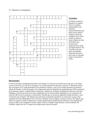 27.- Resuelve el crucigrama:
Verticales:
2. Pruebas evolutivas
basadas en el registro
fósil. 4. Científico
estadounidense que
demostró
experimentalmente que
pudo crearse materia
orgánica a partir de
inorgánica en la Tierra
primitiva, dando la
razón a Oparin. 6. Islas
del Pacífico que
tuvieron gran
influencia en las ideas
de Charles Darwin. 13.
Científico ruso que,
junto con Haldane,
desarrolló una teoría
por la que la vida pudo
surgir en la primitiva
Tierra.
Horizontales:
1. Primer homínido considerado claramente como bípedo. 3. Creencia no científica por la que uno o más dioses
crearon el universo y la vida. 5. Es la especie viva evolutivamente más próxima a nosotros. 7. Diminutas esferas
que se formaron en la "sopa primordial" de los primitivos océanos, y que con el tiempo formarían las primeras
células. 8. Pruebas evolutivas basadas en la comparación entra las biomoléculas (principalmente ADN y proteínas)
de las distintas especies, estableciéndose semejanzas y diferencias. 9. Pájaros estudiados por Darwin en las Islas
Galápagos. Parecían provenir de un único antepasado que fue evolucionando adaptándose a las condiciones de
cada isla. 10. Uno de los primeros evolucionistas. Pensaba que los caracteres adquiridos podían heredarse, y que
"la función crea el órgano". 11. Órganos que sólo tienen un parecido superficial, no estructural, ya que se han
originado de forma independiente en la evolución. Ejemplo: ala de un pájaro y ala de un insecto. 12. Órganos que
tienen un esquema común de organización, aunque aparentemente puedan parecer diferentes. Esta organización
común se debe a que comparten el mismo origen evolutivo. Ejemplo: brazo humano y aleta de ballena. 14.
Científico inglés autor de "El origen de las especies por selección natural".
www.iessuel.org/ccnn
 