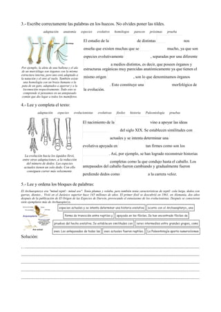 3.- Escribe correctamente las palabras en los huecos. No olvides poner las tildes.
adaptación anatomía especies evolutivo homólogos parecen próximas prueba
Por ejemplo, la aleta de una ballena y el ala
de un murciélago son órganos con la misma
estructura interna, pero uno está adaptado a
la natación y el otro al vuelo. También existe
una homología con un brazo humano o la
pata de un gato, adaptados a agarrar y a la
locomoción respectivamente. Todo esto se
comprende si pensamos en un antepasado
común que dio lugar a todos los mamíferos.
El estudio de la de distintas nos
enseña que existen muchas que se mucho, ya que son
especies evolutivamente , separadas por una diferente
a medios distintos, es decir, que poseen órganos y
estructuras orgánicas muy parecidas anatómicamente ya que tienen el
mismo origen , son lo que denominamos órganos
. Esto constituye una morfológica de
la evolución.
4.- Lee y completa el texto:
adaptación especies evolucionistas evolutivas fósiles historia Paleontología pruebas
La evolución hacia los équidos llevó,
entre otras adaptaciones, a la reducción
del número de dedos. Las especies
actuales tienen un solo dedo. Con ello
consiguen correr más velozmente.
El nacimiento de la vino a apoyar las ideas
del siglo XIX. Se establecen similitudes con
actuales y se intenta determinar una
evolutiva apoyada en tan firmes como son los
. Así, por ejemplo, se han logrado reconstruir historias
completas como la que condujo hasta el caballo. Los
antepasados del caballo fueron cambiando y gradualmente fueron
perdiendo dedos como a la carrera veloz.
5.- Lee y ordena los bloques de palabras:
El Archaeopteryx era "mitad reptil - mitad ave". Tenía plumas y volaba, pero también tenía características de reptil: cola larga, dedos con
garras, dientes... Vivió en el Jurásico superior hace 145 millones de años. El primer fósil se descubrió en 1861, en Alemania, dos años
después de la publicación de El Origen de las Especies de Darwin, provocando el entusiasmo de los evolucionistas. Después se conocieron
siete ejemplares más de Archaeopteryx.
Solución:
…............................................................................................................................................................
................................................................................................................................................................
................................................................................................................................................................
................................................................................................................................................................
................................................................................................................................................................
 