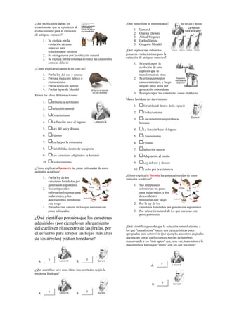 ¿Qué explicación daban los
creacionistas que se opusieron al
evolucionismo para la extinción
de antiguas especies?
1. Se explica por la
evolución de unas
especies para
transformarse en otras
2. Se extinguieron por la selección natural
3. Se explica por la voluntad divina y las catástrofes
como el diluvio
¿Cómo explicaría Lamarck un caso así?
1. Por la ley del uso y desuso
2. Por una mutación génica o
cromosómica
3. Por la selección natural
4. Por las leyes de Mendel
Marca las ideas del lamarckismo:
1. Influencia del medio
2. Selección natural
3. Creacionismo
4. La función hace el órgano
5. Ley del uso y desuso
6. Fijismo
7. Lucha por la existencia
8. Variabilidad dentro de la especie
9. Los caracteres adquiridos se heredan
10. Evolucionismo
¿Cómo explicaría Lamarck las patas palmeadas de estos
animales acuáticos?
1. Por la ley de los
caracteres heredados por
generación espontánea
2. Sus antepasados
esforzarían las patas para
nadar mejor, y los
descendientes heredarían
este rasgo
3. Por selección natural de los que nacieran con
patas palmeadas
¿Qué científico pensaba que los caracteres
adquiridos (por ejemplo un alargamiento
del cuello en el ancestro de las jirafas, por
el esfuerzo para atrapar las hojas más altas
de los árboles) podían heredarse?
¿Qué científico tuvo unas ideas más acertadas según la
moderna Biología?
¿Qué naturalista se muestra aquí?
1. Lamarck
2. Charles Darwin
3. Alfred Wegener
4. Carlos Linneo
5. Gregorio Mendel
¿Qué explicación daban los
primeros evolucionistas para la
extinción de antiguas especies?
1. Se explica por la
evolución de unas
especies que se
transforman en otras
2. Se extinguieron por
causas naturales, y luego
surgían otros seres por
generación espontánea
3. Se explica por las catástrofes como el diluvio
Marca las ideas del darwinismo:
1. Variabilidad dentro de la especie
2. Evolucionismo
3. Los caracteres adquiridos se
heredan
4. La función hace el órgano
5. Creacionismo
6. Fijismo
7. Selección natural
8. Adaptación al medio
9. Ley del uso y desuso
10. Lucha por la existencia
¿Cómo explicaría Darwin las patas palmeadas de estos
animales acuáticos?
1. Sus antepasados
esforzarían las patas
para nadar mejor, y los
descendientes
heredarían este rasgo
2. Por la ley de los
caracteres heredados por generación espontánea
3. Por selección natural de los que nacieran con
patas palmeadas
¿Qué científico pensaba que la selección natural elimina a
los que "casualmente" nacen con características poco
apropiadas para sobrevivir (por ejemplo, ancestros de jirafas
que nacían con el cuello corto y morían de hambre),
conservando a los "más aptos" que, a su vez, transmiten a la
descendencia los rasgos "útiles" con los que nacieron?
 