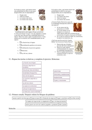 Si el suelo es oscuro, ¿qué ratones tienen
más probabilidad de sobrevivir por pasar
desapercibidos ante los depredadores?
1. Ningún ratón
2. Todos los ratones
3. Los ratones más claros
4. Los ratones más oscuros
La Selección Natural "escoge" a los más adaptados al medio
y, para ello, hace falta que haya variabilidad dentro de la
especie. Marca las causas, según el neodarwinismo o teoría
sintética de la evolución, de la variabilidad dentro de una
especie:
1. La función hace el órgano
2. Recombinación genética en la meiosis
3. Combinación al azar de los gametos
4. Mutaciones
5. Ley del uso y desuso
Si el suelo es claro, ¿qué ratones tienen más
probabilidad de sobrevivir por pasar
desapercibidos ante los depredadores?
1. Ningún ratón
2. Los ratones más claros
3. Todos los ratones
4. Los ratones más oscuros
¿Conocía Charles Darwin las causas de
la variabilidad intraespecífica (dentro de
una especie)?
1. Sí, las causas eran las
mutaciones en el ADN
2. Sí, ya que aunque en sus
tiempos no se conocía el
ADN, Darwin sabía de la existencia de los
cromosomas, los genes y las Leyes de Mendel
3. No, ya que no conocía el ADN, los cromosomas,
los genes, las mutaciones, etc.
¿Cuál crees que fue uno de los "puntos
débiles" de la teoría de Charles Darwin?
1. Darwin dijo que el hombre
proviene del mono (chimpancé)
2. Darwin no supo explicar
satisfactoriamente las causas de
la variabilidad intraespecífica.
3. Darwin negaba tajantemente la
existencia de Dios, ya que era
comunista y ateo.
11.- Repasa las teorías evolutivas y completa el ejercicio. Relaciona:
12.- Primero estudia. Después ordena los bloques de palabras:
Solución…..............................................................................................................................................
................................................................................................................................................................
................................................................................................................................................................
................................................................................................................................................................
 