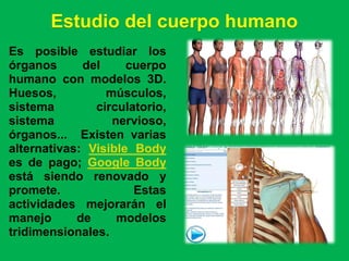 Estudio del cuerpo humano
Es posible estudiar los
órganos      del     cuerpo
humano con modelos 3D.
Huesos,          músculos,
sistema        circulatorio,
sistema           nervioso,
órganos... Existen varias
alternativas: Visible Body
es de pago; Google Body
está siendo renovado y
promete.              Estas
actividades mejorarán el
manejo      de     modelos
tridimensionales.
 