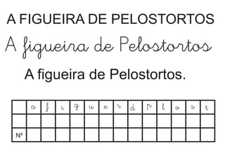 Actividadespelostortos