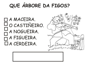 Actividadespelostortos