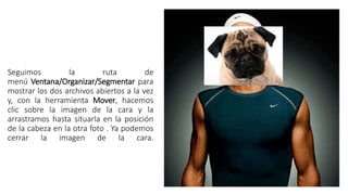 Seguimos la ruta de
menú Ventana/Organizar/Segmentar para
mostrar los dos archivos abiertos a la vez
y, con la herramienta Mover, hacemos
clic sobre la imagen de la cara y la
arrastramos hasta situarla en la posición
de la cabeza en la otra foto . Ya podemos
cerrar la imagen de la cara.
 