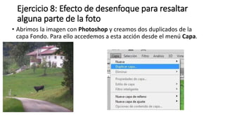 Ejercicio 8: Efecto de desenfoque para resaltar
alguna parte de la foto
• Abrimos la imagen con Photoshop y creamos dos duplicados de la
capa Fondo. Para ello accedemos a esta acción desde el menú Capa.
•
 