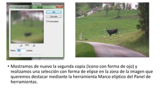 • Mostramos de nuevo la segunda copia (icono con forma de ojo) y
realizamos una selección con forma de elipse en la zona de la imagen que
queremos destacar mediante la herramienta Marco elíptico del Panel de
herramientas.
 