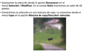 • Suavizamos la selección desde la opción Desvanecer en el
menú Selección / Modificar. En el campo Ratio insertamos un valor de 10
píxeles.
• Convertimos la selección en una máscara de capa. La crearemos desde el
menú Capa en la opción Máscara de capa/Descubrir selección.
 