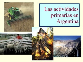 Las actividades primarias en Argentina 