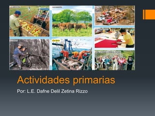 Actividades primarias
Por: L.E. Dafne Delil Zetina Rizzo
 
