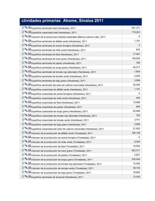 ctividades primarias Ahome, Sinaloa 2011
Superficie sembrada total (Hectáreas), 2011 261,371
Superficie cosechada total (Hectáreas), 2011 179,203
Volumen de la producción forestal maderable (Metros cúbicos rollo), 2011 0
Superficie sembrada de alfalfa verde (Hectáreas), 2011 1,191
Superficie sembrada de avena forrajera (Hectáreas), 2011 0
Superficie sembrada de chile verde (Hectáreas), 2011 870
Superficie sembrada de frijol (Hectáreas), 2011 17,481
Superficie sembrada de maíz grano (Hectáreas), 2011 150,526
Superficie sembrada de pastos (Hectáreas), 2011 780
Superficie sembrada de sorgo grano (Hectáreas), 2011 45,517
Superficie sembrada de tomate rojo (jitomate) (Hectáreas), 2011 1,604
Superficie sembrada de tomate verde (Hectáreas), 2011 4,400
Superficie sembrada de trigo grano (Hectáreas), 2011 3,566
Superficie sembrada del resto de cultivos nacionales (Hectáreas), 2011 35,436
Superficie cosechada de alfalfa verde (Hectáreas), 2011 1,191
Superficie cosechada de avena forrajera (Hectáreas), 2011 0
Superficie cosechada de chile verde (Hectáreas), 2011 400
Superficie cosechada de frijol (Hectáreas), 2011 13,908
Superficie cosechada de pastos (Hectáreas), 2011 646
Superficie cosechada de sorgo grano (Hectáreas), 2011 45,488
Superficie cosechada de tomate rojo (jitomate) (Hectáreas), 2011 783
Superficie cosechada de tomate verde (Hectáreas), 2011 3,741
Superficie cosechada de trigo grano (Hectáreas), 2011 3,566
Superficie cosechada del resto de cultivos nacionales (Hectáreas), 2011 21,833
Volumen de la producción de alfalfa verde (Toneladas), 2011 106,128
Volumen de la producción de avena forrajera (Toneladas), 2011 0
Volumen de la producción de chile verde (Toneladas), 2011 6,040
Volumen de la producción de frijol (Toneladas), 2011 16,555
Volumen de la producción de maíz grano (Toneladas), 2011 622,311
Volumen de la producción de pastos (Toneladas), 2011 4,821
Volumen de la producción de sorgo grano (Toneladas), 2011 335,454
Volumen de la producción de tomate rojo (jitomate) (Toneladas), 2011 13,939
Volumen de la producción de tomate verde (Toneladas), 2011 39,164
Volumen de la producción de trigo grano (Toneladas), 2011 16,600
Superficie sembrada de temporal (Hectáreas), 2011 12,429
 