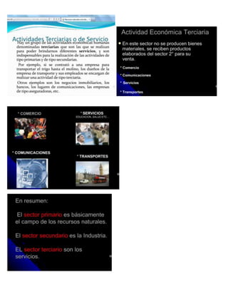 Actividades primarias, 2° y 3°