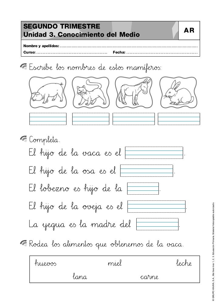 Actividades primero de primaria matemáticas, lengua