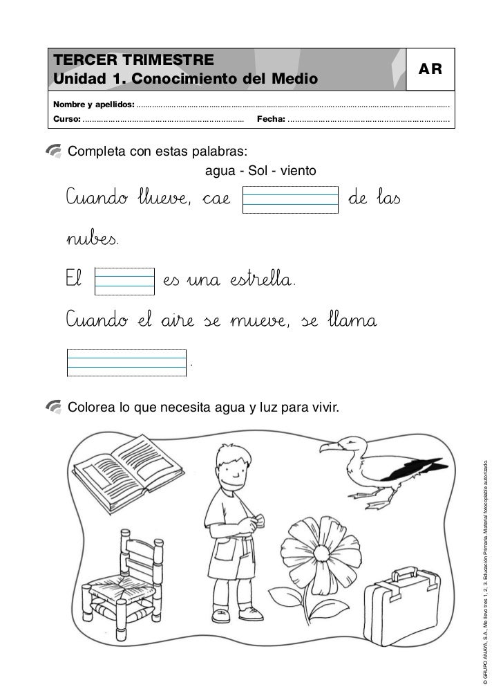 Actividades Para Niños De Primero De Primaria Para Colorear - Niños