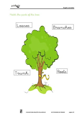 El gato con botas
COLEGIO SAN AGUSTÍN VALLADOLID ACTIVIDADES DE VERANO página 24
Leaves Branches
RootsTrunk
Match the parts of the treeMatch the parts of the treeMatch the parts of the treeMatch the parts of the tree::::
 