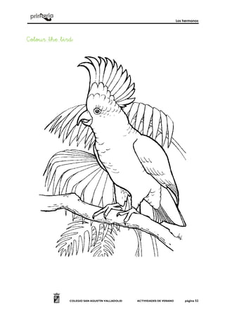 Los hermanos
COLEGIO SAN AGUSTÍN VALLADOLID ACTIVIDADES DE VERANO página 52
Colour the birdColour the birdColour the birdColour the bird::::
 