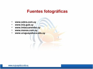 Fuentes fotográficas www.cebra.com.uy www.inia.gub.uy www.imtacuarembo.uy www.manos.com.uy www.uruguayeduca.edu.uy