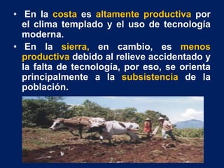 • En la costa es altamente productiva por
el clima templado y el uso de tecnología
moderna.
• En la sierra, en cambio, es menos
productiva debido al relieve accidentado y
la falta de tecnología, por eso, se orienta
principalmente a la subsistencia de la
población.
 