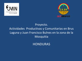 Proyecto.  Actividades  Productivas y Comunitarias en Brus Laguna y Juan Francisco Bulnes en la zona de la Mosquitia HONDURAS 