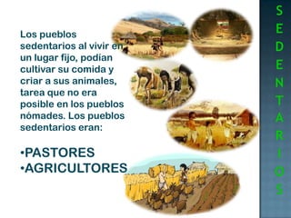 Cultivaron la tierra