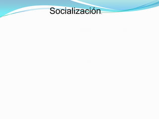 Socialización.
 