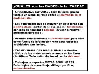 Actividades Realizadas2