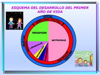 MOISES LOGROÑO G
ESQUEMA DEL DESARROLLO DEL PRIMER
AÑO DE VIDA
16
 