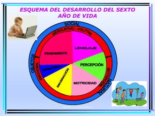 MOISES LOGROÑO G
ESQUEMA DEL DESARROLLO DEL SEXTO
AÑO DE VIDA
17
 
