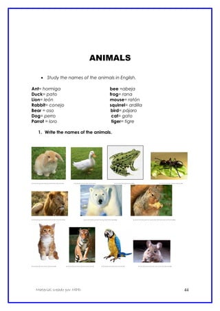 ANIMALS
• Study the names of the animals in English.
Ant= hormiga bee =abeja
Duck= pato frog= rana
Lion= león mouse= ratón
Rabbit= conejo squirrel= ardilla
Bear = oso bird= pájaro
Dog= perro cat= gato
Parrot = loro tiger= tigre
1. Write the names of the animals.
…………………. …………… ………….. …………….
………………….. ………………….. ………………………..
…………….. ………………. ……………. …………………..
Material creado por MPD 44
 