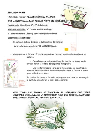 SEGUNDA PARTE
-Actividad a realizar: REALIZACIÓN DEL TRABAJO
(FICHA INDIVIDUAL) PARA FORMAR PARTE DEL HERBARIO.
Destinatar...