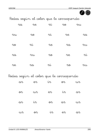 Actividades Rr