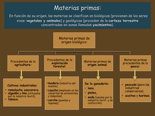 Materias primas de
origen biológico:
Procedentes de la
agricultura:
Cultivos industriales:
• remolacha azucarera,
• algodón y lino (utilizados
por la industria textil),
• tabaco.
Procedentes de la
explotación
forestal:
• madera (industria del
mueble).
• caucho (empleado en las
cubiertas de automóviles
y máquinas),
• corcho (paneles y
tapones).
Materias primas de
origen animal:
De la ganadería:
• lana,
• pieles,
• seda (usadas por la
industria textil y de
confección).
Materias primas
procedentes de la
pesca:
• pescado (para las
industrias
conserveras),
• aceites y harinas.
 