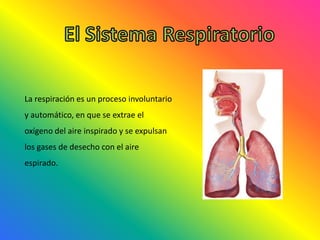 La respiración es un proceso involuntario
y automático, en que se extrae el
oxígeno del aire inspirado y se expulsan
los gases de desecho con el aire
espirado.
 