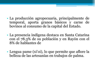 • La producción agropecuaria, principalmente de
temporal, aporta granos básicos y carne de
bovinos al consumo de la capital del Estado.
• La presencia indígena destaca en Santa Catarina
con el 78.3% de su población y en Rayón con el
8% de hablantes de
• Lengua pame (xi’oi), lo que permite que aflore la
belleza de las artesanías en trabajos de palma.

 
