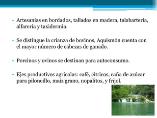 • Artesanías en bordados, tallados en madera, talabartería,
alfarería y taxidermia.
• Se distingue la crianza de bovinos, Aquismón cuenta con
el mayor número de cabezas de ganado.
• Porcinos y ovinos se destinan para autoconsumo.

• Ejes productivos agrícolas: café, cítricos, caña de azúcar
para piloncillo, maíz grano, nopalitos, y frijol.

 
