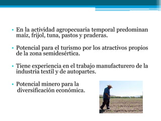 • En la actividad agropecuaria temporal predominan
maíz, frijol, tuna, pastos y praderas.

• Potencial para el turismo por los atractivos propios
de la zona semidesértica.
• Tiene experiencia en el trabajo manufacturero de la
industria textil y de autopartes.
• Potencial minero para la
diversificación económica.

 