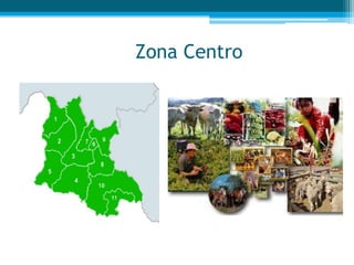 Zona Centro

 