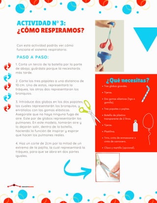 ACTIVIDAD N° 3:
¿CÓMO RESPIRAMOS?
PASO A PASO:
Con esta actividad podrás ver cómo
funciona el sistema respiratorio.
¿Qué necesitas?
Tres globos grandes.
Tijeras.
Dos gomas elásticas (liga o
gomilla).
Tres popotes o pajitas.
Botella de plástico
transparente de 2 litros.
Tijeras.
Plastilina.
Tirro, cinta de enmascarar o
cinta de carrocero.
Clavo y martillo (opcional).
1. Corta un tercio de la botella por la parte
de abajo; guárdala porque la necesitarás
más tarde.
2. Corta los tres popotes a una distancia de
10 cm. Uno de estos, representará la
tráquea, las otras dos representaran los
bronquios.
3. Introduce dos globos en los dos popotes,
los cuales representarán los bronquios, y
enróllalos con las gomas elásticas.
Asegúrate que no haya ninguna fuga de
aire. Este par de globos representarán los
pulmones. En este modelo, tomarán aire y
lo dejarán salir, dentro de la botella,
haciendo la función de inspirar y espirar
que hacen los pulmones reales.
4. Haz un corte de 2cm por la mitad de un
extremo de la pajilla, la cual representará la
tráquea, para que se abra en dos partes
iguales.
CIRCUITDRONE
 
