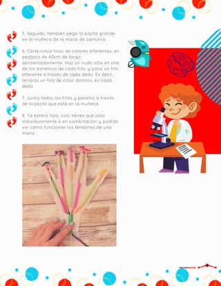 5. Seguido, también pega la pajilla grande
en la muñeca de la mano de cartulina.
6. Corta cinco hilos de colores diferentes, en
pedazos de 60cm de largo
aproximadamente. Haz un nudo sólo en uno
de los extremos de cada hilo, y pasa un hilo
diferente a través de cada dedo. Es decir,
tendrás un hilo de color distinto, en cada
dedo.
7. Junta todos los hilos y pásalos a través
de la pajita que está en la muñeca.
8. Ya estará listo, solo tienes que jalar
individualmente o en combinación y podrás
ver cómo funcionan los tendones de una
mano.
CIRCUITDRONE
 
