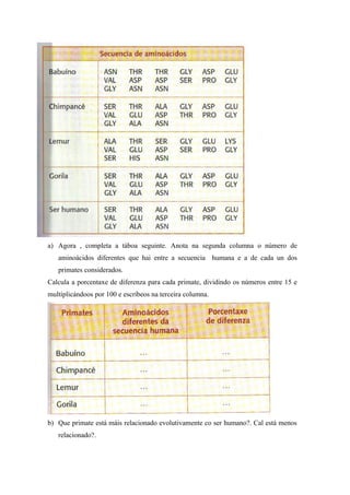 a) Agora , completa a táboa seguinte. Anota na segunda columna o número de
   aminoácidos diferentes que hai entre a secuencia humana e a de cada un dos
   primates considerados.
Calcula a porcentaxe de diferenza para cada primate, dividindo os números entre 15 e
multiplicándoos por 100 e escríbeos na terceira columna.




b) Que primate está máis relacionado evolutivamente co ser humano?. Cal está menos
   relacionado?.
 