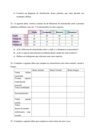 c) Constrúe un diagrama de clasificación destes primates que estea dacordo cos
       resultados obtidos.


21.- A seguinte táboa mostra o número de de diferenzas de aminoácidos entre a proteina
anhidrasa carbónica ( que ten 115 aminoácidos) en catro especies:




   a) ¿Cal é diferenza de aminoácidos entre o coello e o chimpancé en porcentaxe?.
   b) ¿Cal é a especie máis próxima ao babuino desde o punto de vista evolutivo?
   c) Debuxa un cladograma que relacione estas catro especies.


22.- Completa a seguinte táboa que compara as características dos reinos animal, vexetal e
fungos:
                             Reino Animal       Reino Vexetal         Reino Fungos
     Teñen         células
     eucariotas
     Forman     esporas
     (reprodución
     asexual)
     Teñen mobilidade

     Son heterótrofos

     Teñen          parede
     celular
     Teñen
     desenvolvemento
     embrionario     (rep.
     sexual)

23.- Completa a seguinte táboa que compara os cinco reinos de seres vivos:
 