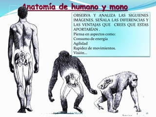 Actividades tema la Prehistoria | PPTX