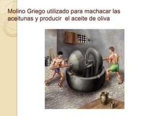 Molino Griego utilizado para machacar las
aceitunas y producir el aceite de oliva