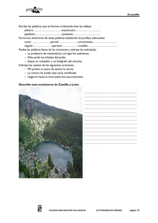 El Lazarillo



Escribe las palabras que se forman ordenando bien las sílabas:
     jobatra: ………………………..erprencom:……………………..
     japallosri: …………………….. quiextosi:……………………….
Forma los antónimos de estas palabras añadiendo los prefijos adecuados:
     coser: ……………….parcial: ……………….conveniente:……………………
     regular:……………… aparecer: ……………tratable:…………………………
Rodea las palabras llanas de las oraciones y subraya las esdrújulas:
     – La profesora de matemáticas corrigió los exámenes.
     – Félix podó los árboles del jardín.
     – Saqué un rotulador y un bolígrafo del estuche.
Subraya los sujetos de las siguientes oraciones:
     – Me prestó un poco de azúcar la vecina.
     – La cartera ha traído esta carta certificada.
     – Llegaron hasta la cima todos los excursionistas

Describe este ecosistema de Castilla y León.

                                                 ………………………………………………
                                                 ………………………………………………
                                                 ………………………………………………
                                                 ………………………………………………
                                                 …..…………………………………………
                                                 ………………………………………………
                                                 ………………………………………………
                                                 ………………………………………………
                                                 ………………………………………………
                                                 ………………………………………………
                                                 ………………………………………………
                                                 ………………………………………………
                                                 ………………………………………………
                                                 ………………………………………………




                     COLEGIO SAN AGUSTÍN VALLADOLID    ACTIVIDADES DE VERANO     página 10
 
