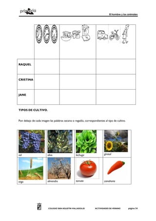 El hombre y los animales




RAQUEL




CRISTINA




JANE




TIPOS DE CULTIVO.


Pon debajo de cada imagen las palabras secano o regadío, correspondientes al tipo de cultivo.




vid                      olivo                   lechuga                  girasol




trigo                    almendro                tomate                   zanahoria




                         COLEGIO SAN AGUSTÍN VALLADOLID           ACTIVIDADES DE VERANO         página 34
 