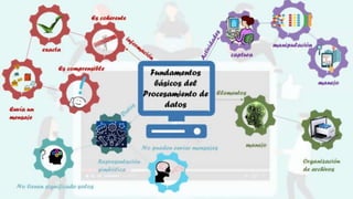 Actividades y elementos del procesamiento de datos