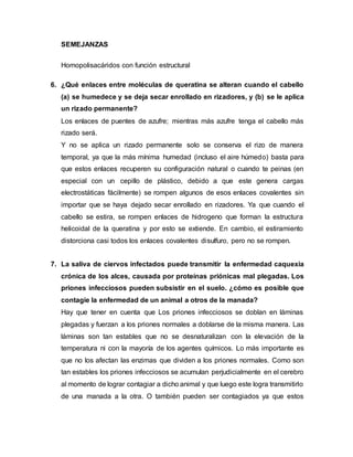 SEMEJANZAS
Homopolisacáridos con función estructural
6. ¿Qué enlaces entre moléculas de queratina se alteran cuando el cabello
(a) se humedece y se deja secar enrollado en rizadores, y (b) se le aplica
un rizado permanente?
Los enlaces de puentes de azufre; mientras más azufre tenga el cabello más
rizado será.
Y no se aplica un rizado permanente solo se conserva el rizo de manera
temporal, ya que la más mínima humedad (incluso el aire húmedo) basta para
que estos enlaces recuperen su configuración natural o cuando te peinas (en
especial con un cepillo de plástico, debido a que este genera cargas
electrostáticas fácilmente) se rompen algunos de esos enlaces covalentes sin
importar que se haya dejado secar enrollado en rizadores. Ya que cuando el
cabello se estira, se rompen enlaces de hidrogeno que forman la estructura
helicoidal de la queratina y por esto se extiende. En cambio, el estiramiento
distorciona casi todos los enlaces covalentes disulfuro, pero no se rompen.
7. La saliva de ciervos infectados puede transmitir la enfermedad caquexia
crónica de los alces, causada por proteínas priónicas mal plegadas. Los
priones infecciosos pueden subsistir en el suelo. ¿cómo es posible que
contagie la enfermedad de un animal a otros de la manada?
Hay que tener en cuenta que Los priones infecciosos se doblan en láminas
plegadas y fuerzan a los priones normales a doblarse de la misma manera. Las
láminas son tan estables que no se desnaturalizan con la elevación de la
temperatura ni con la mayoría de los agentes químicos. Lo más importante es
que no los afectan las enzimas que dividen a los priones normales. Como son
tan estables los priones infecciosos se acumulan perjudicialmente en el cerebro
al momento de lograr contagiar a dicho animal y que luego este logra transmitirlo
de una manada a la otra. O también pueden ser contagiados ya que estos
 