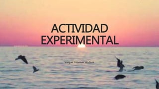 ACTIVIDAD
EXPERIMENTAL
Vargas Jiménez Andrea
 